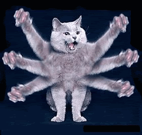 http://i233.photobucket.com/albums/ee36/deftaira/octopuss.gif