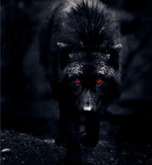 evil.png Wolf image by DeathDragon45