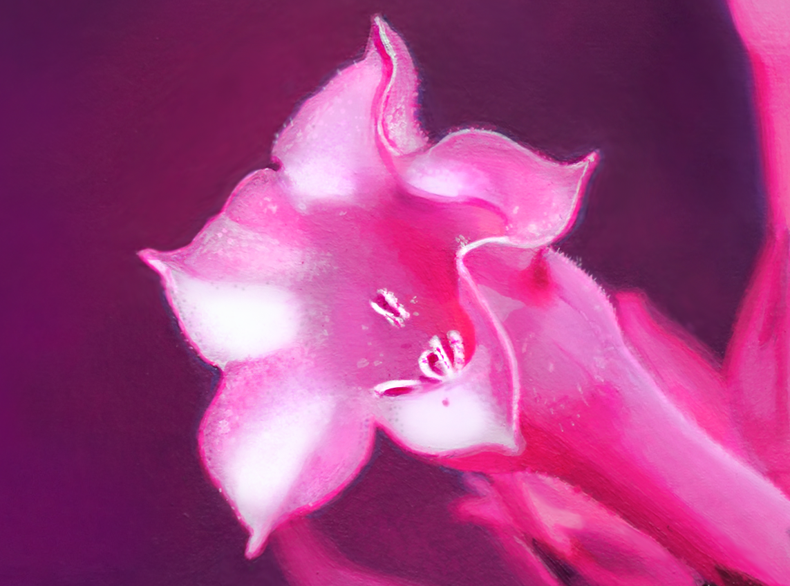 All The Flowers Sing In D Minor - Elodie Lesourd