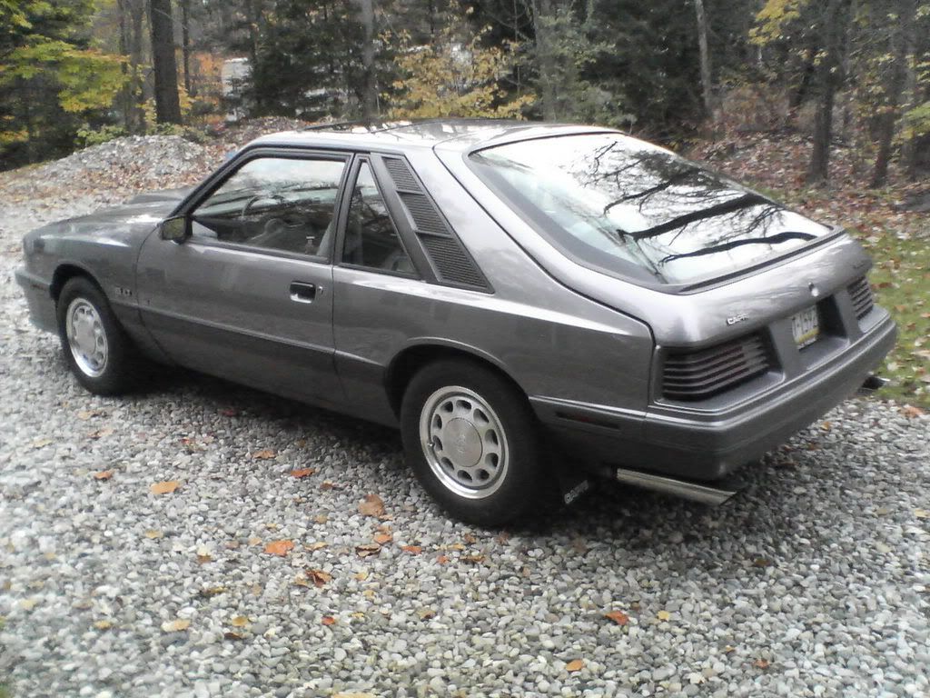 1109071504a.jpg?t=1194657344