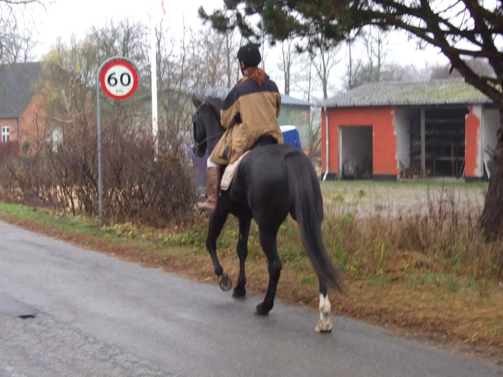 Sorte røv pics