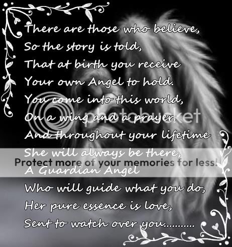 Guardian Angel Feather Poem Pictures, Images & Photos | Photobucket