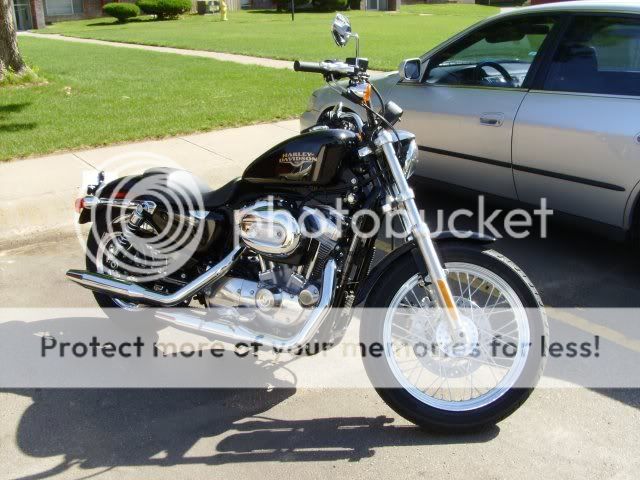 2008-Harley-Sportster-883L.jpg