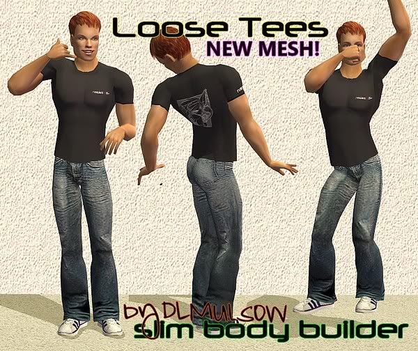 http://i233.photobucket.com/albums/ee93/simantics/SBBLooseTeeIngame-1.jpg