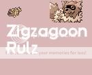 The zigzagoon fan club